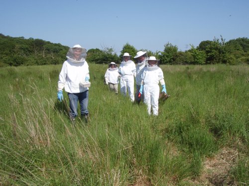 A group of new beekeepers